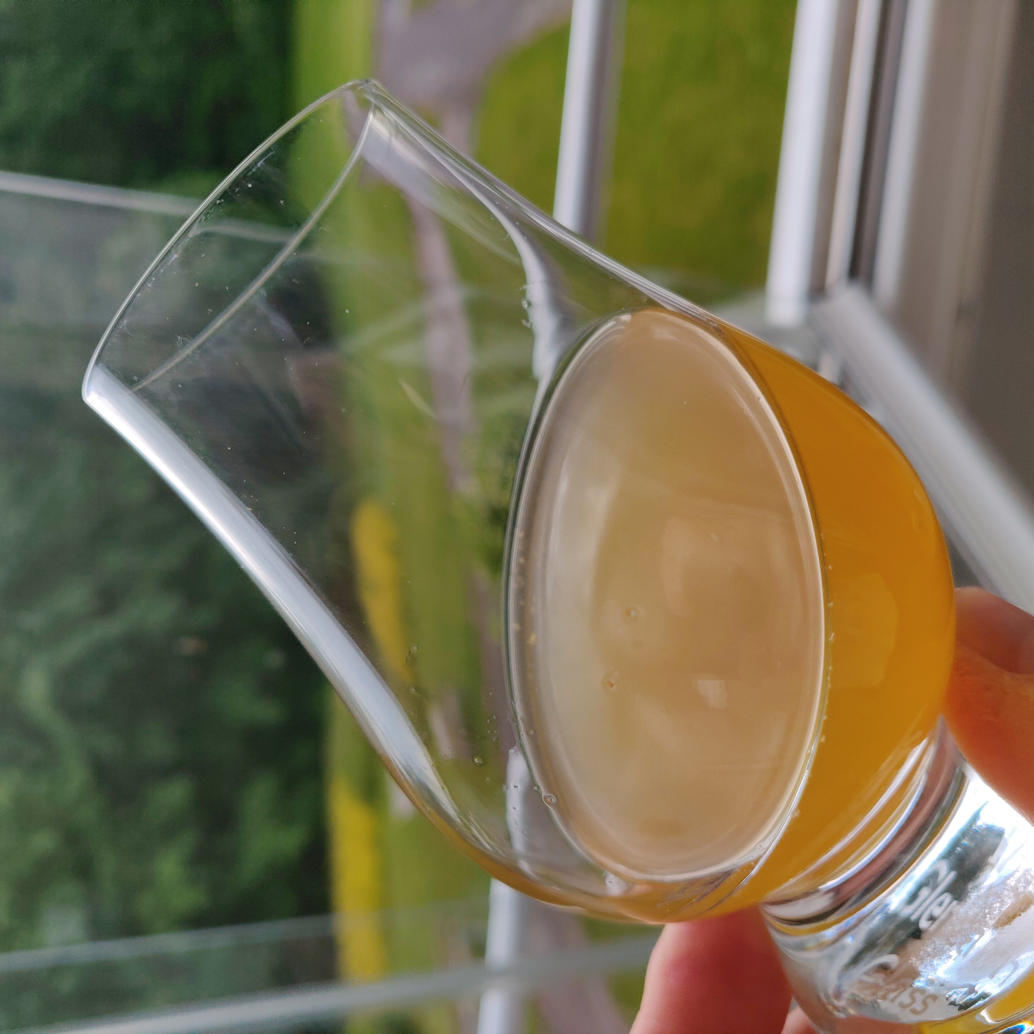 Dandelion wine sample