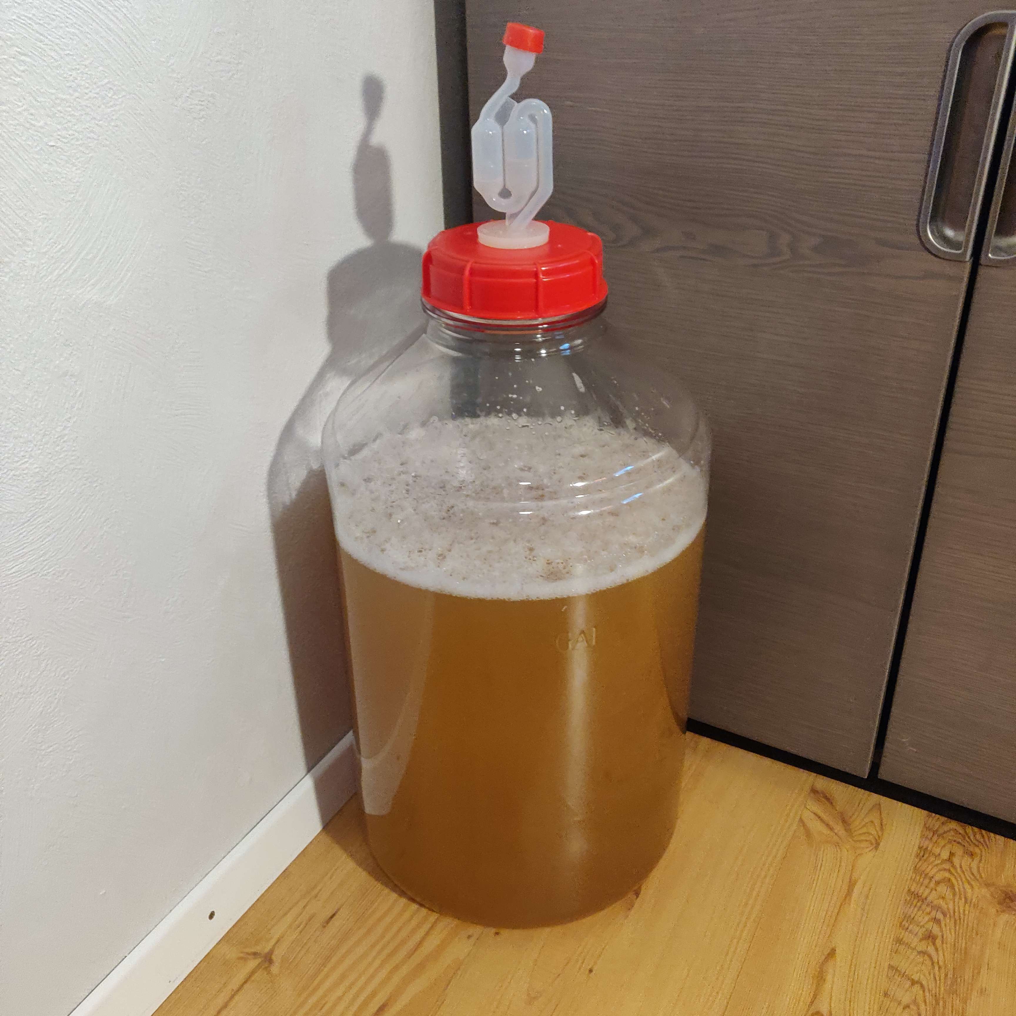 Mead in fermentation vessel