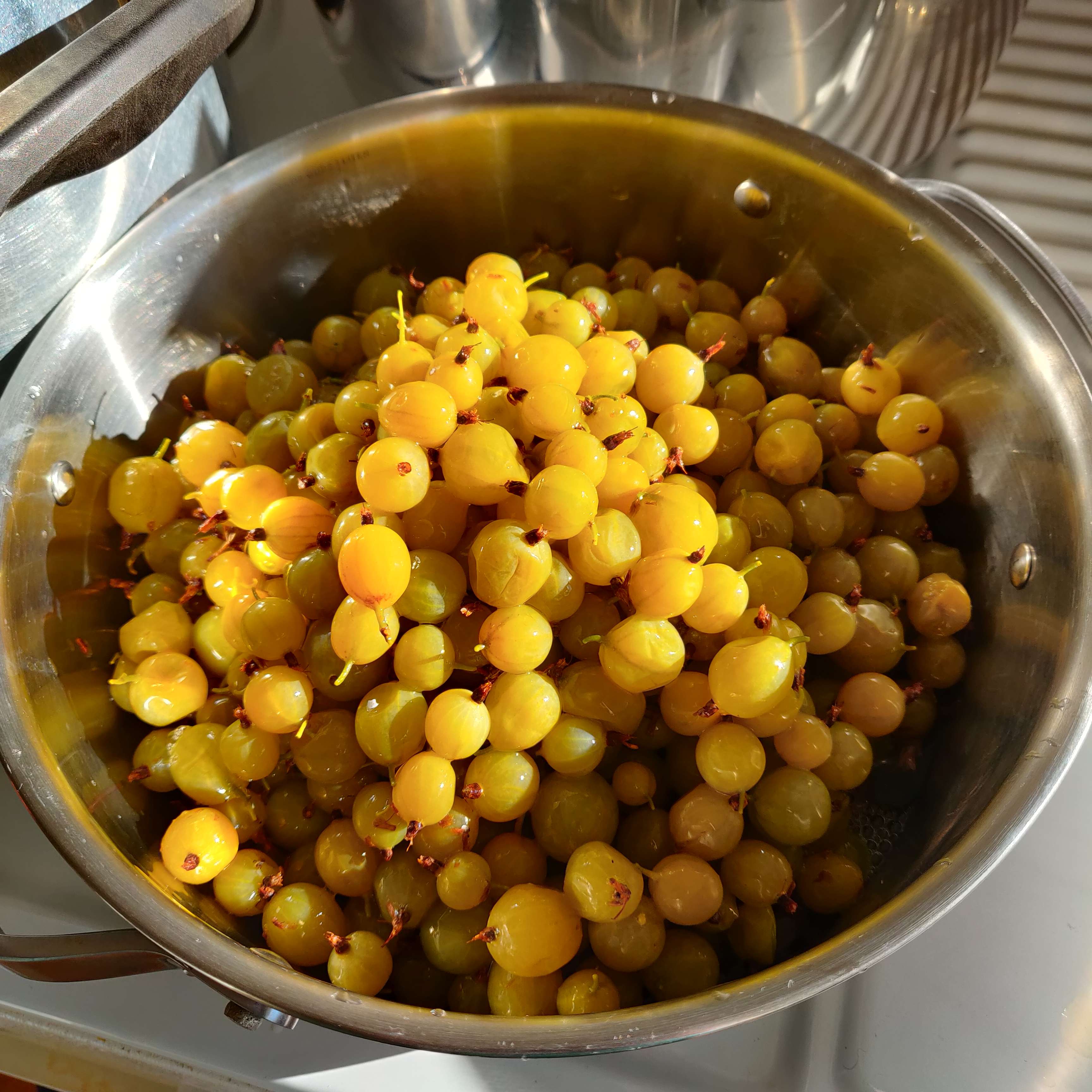 Gooseberries going into mead